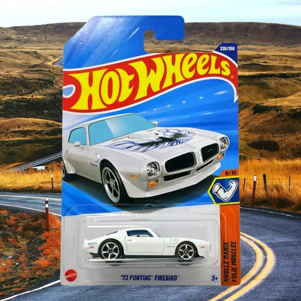 '73 Pontiac Firebird